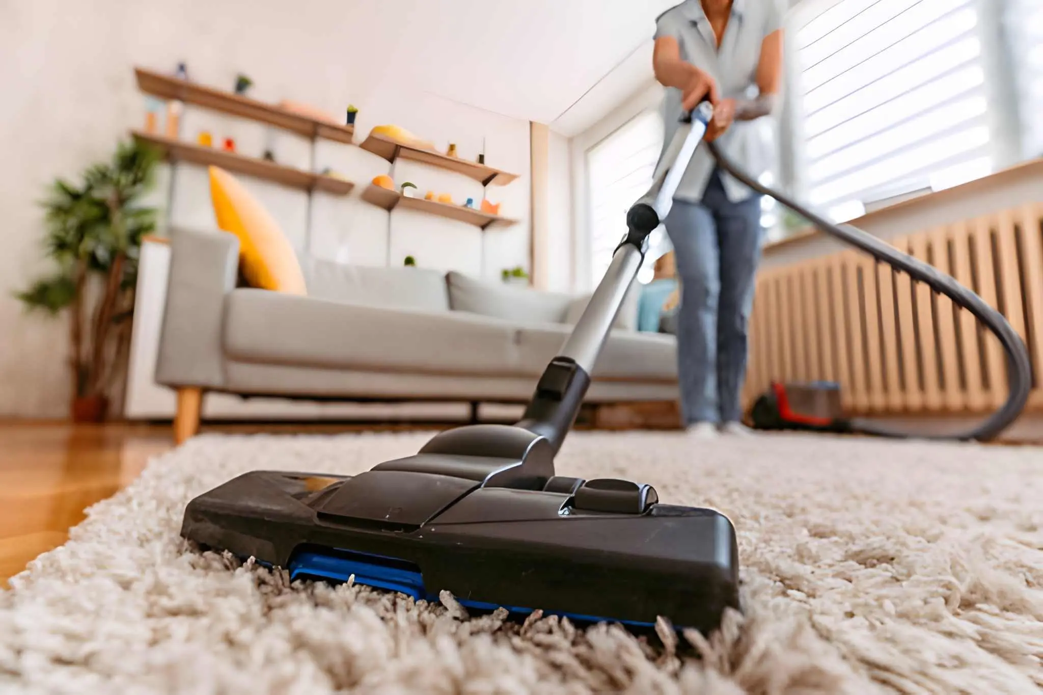 Carpet Cleaning in Charleston & Surrounding areas removing pet stains and odors safely