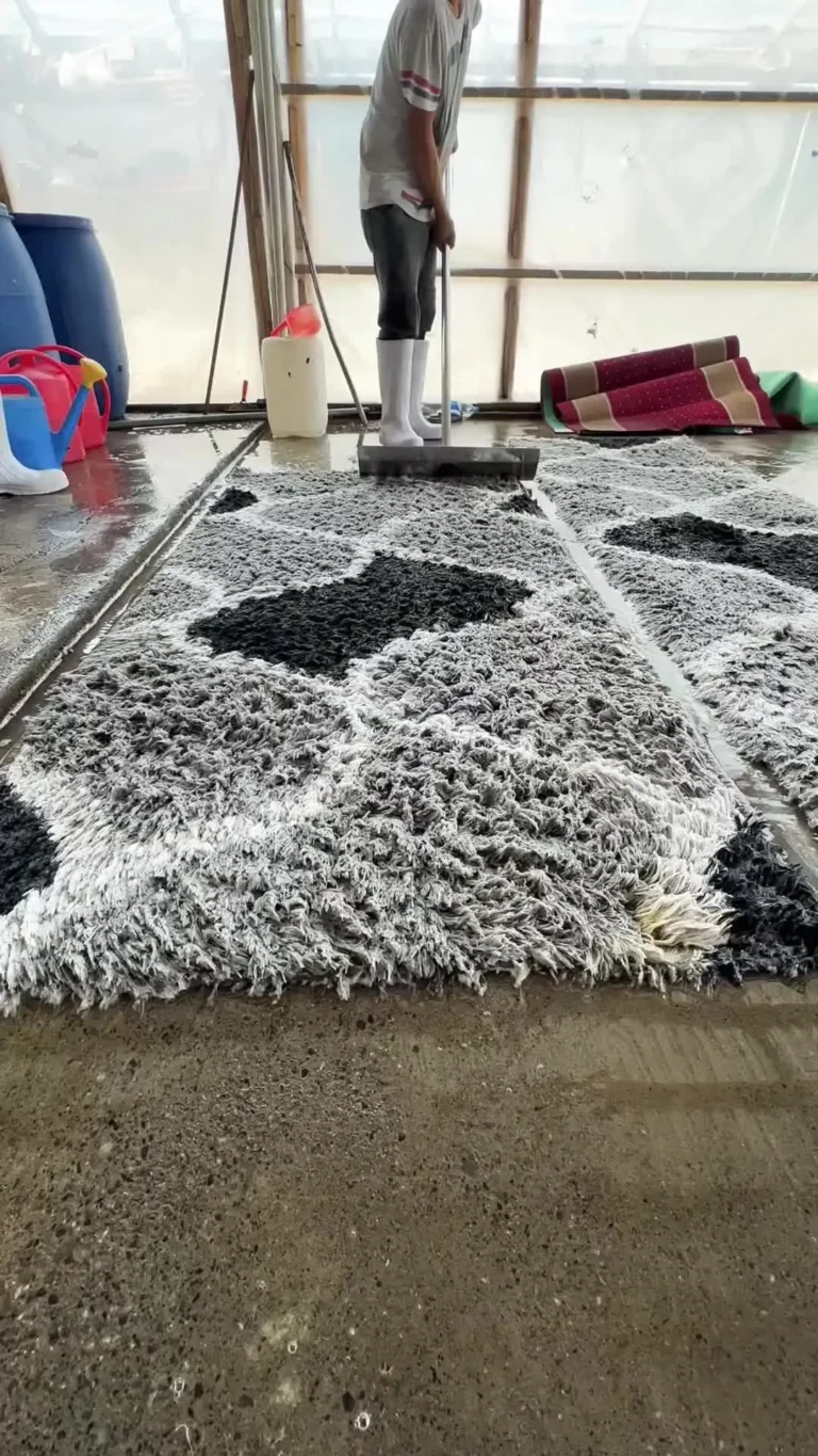 709de8f8d9a08f9e0e879a5304e49b08.0000000 11zon