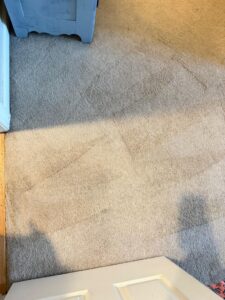 carpet cleaning