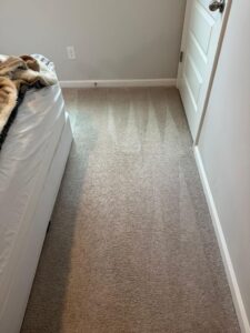 carpet cleaning